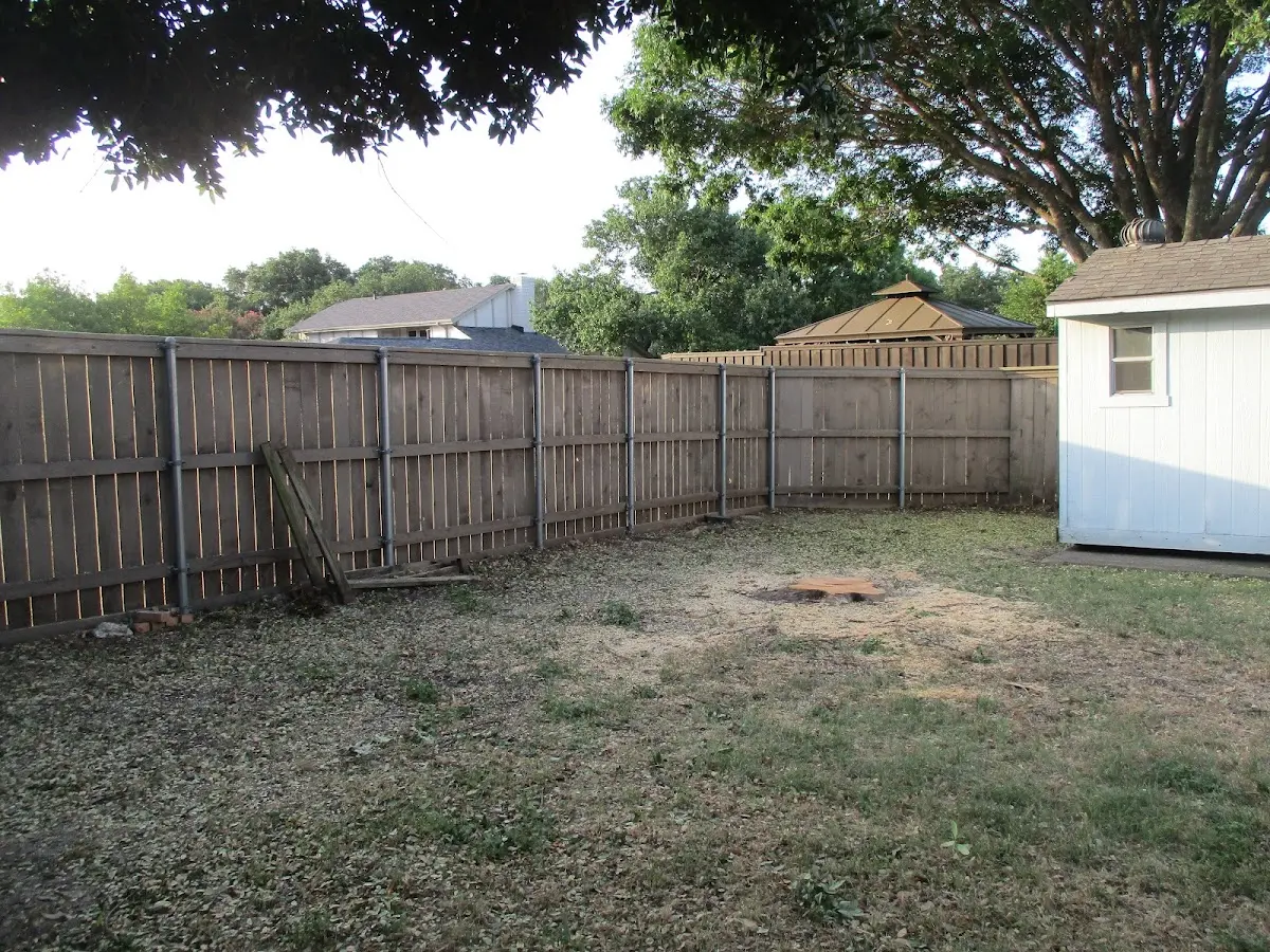 Cleared yard after professional tree removal in East Meadow