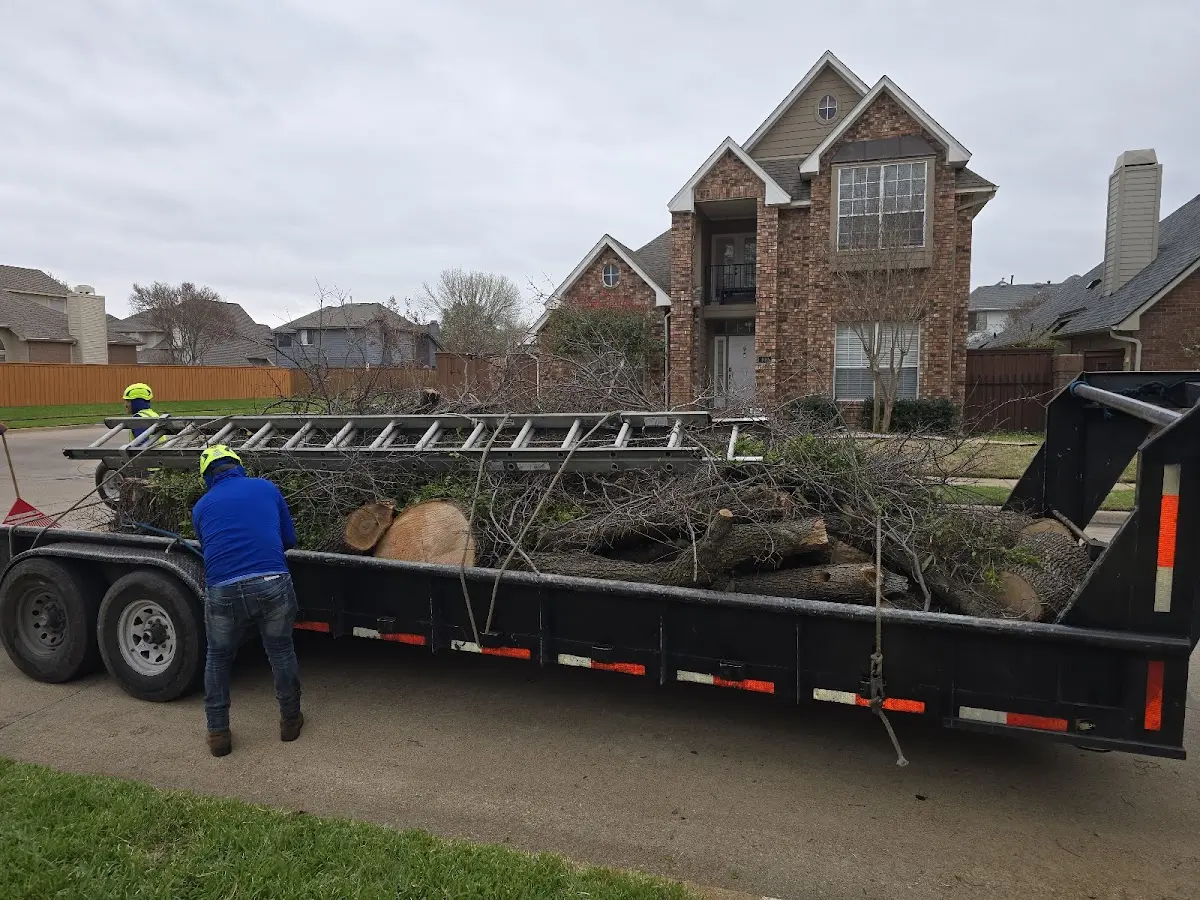 Expert Tree Pest Control with proper safety equipment in East Meadow